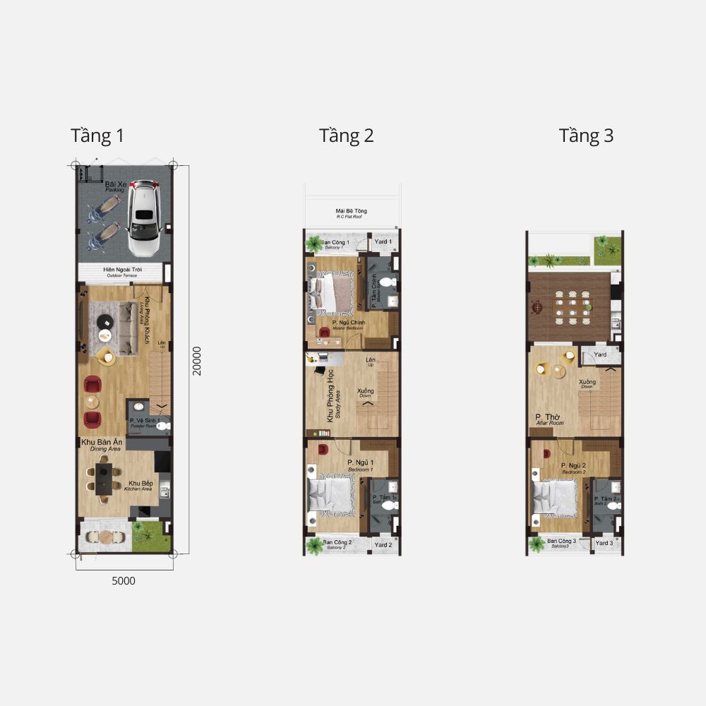 3 Tầng 216.19m2